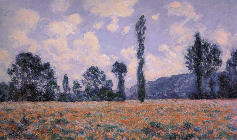 Field of Poppies